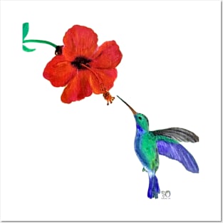 Hummingbird in Flight Feeding from Hibiscus Original Art Painting Posters and Art